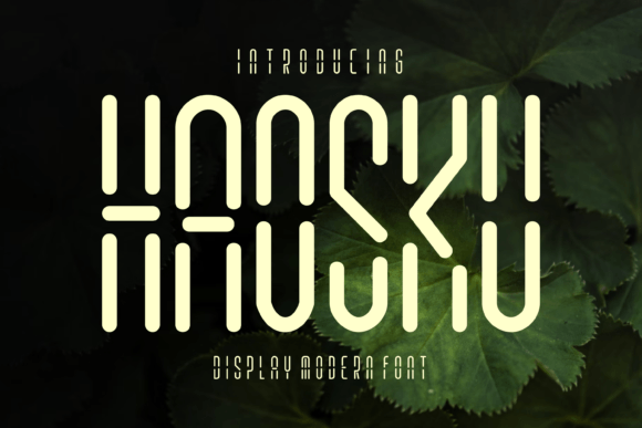 Haosku: The Display Font with a Digital Edge