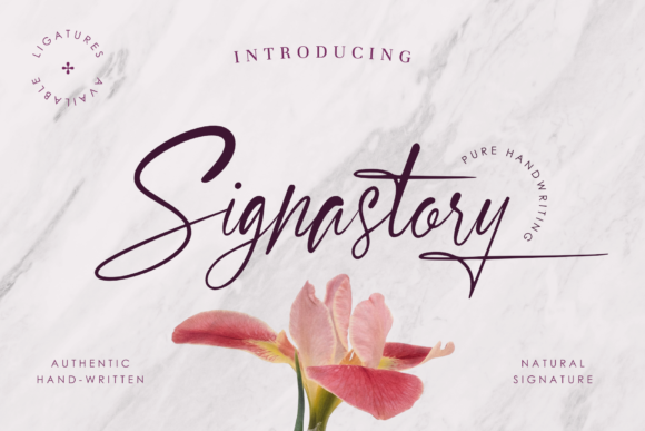 Signastory: A Handmade Font for Modern Creative Projects